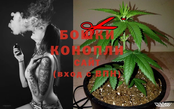 дживик Вязники