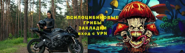 круглые Вяземский