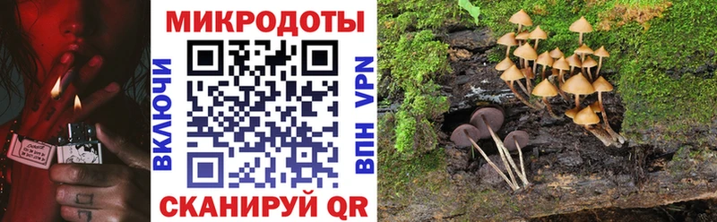 Псилоцибиновые грибы Psilocybine cubensis Первоуральск