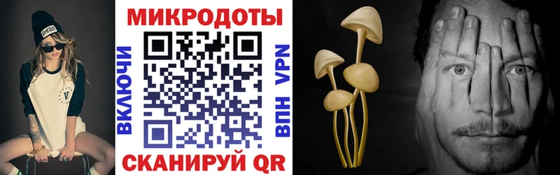 Псилоцибиновые грибы MAGIC MUSHROOMS Первоуральск